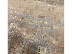 Best Alfombra abstracta - 200x290cm - , marrón, beige - Aurora Dune Dorado