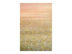 Vivaraise Alfombra Caro 200 x 290 cm Multicolor Outlet
