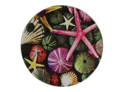 Alfombra de baño Estrella 100 Multicolor Hot