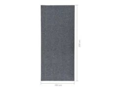 Clicnbuy Alfombra de pasillo atrapa suciedad 100x250 cm Gris Outlet