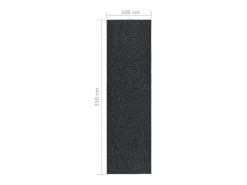 New Clicnbuy Alfombra de pasillo atrapa suciedad 100x350 cm Gris antracita