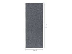 Clicnbuy Alfombra de pasillo atrapa suciedad 100x300 cm Gris Online