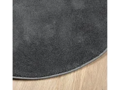 Alfombra De Cocina|Alfombra Redonda-Alfombra de pelo corto OVIEDO en antracita Ø 160 cm Gris
