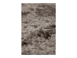 Vivaraise Alfombra de poliéster Miky Grey Gris Online
