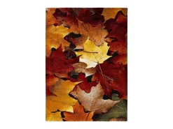 Hot Alfombra interior - floral - - 80 x 150 cm - KOBY Multicolor