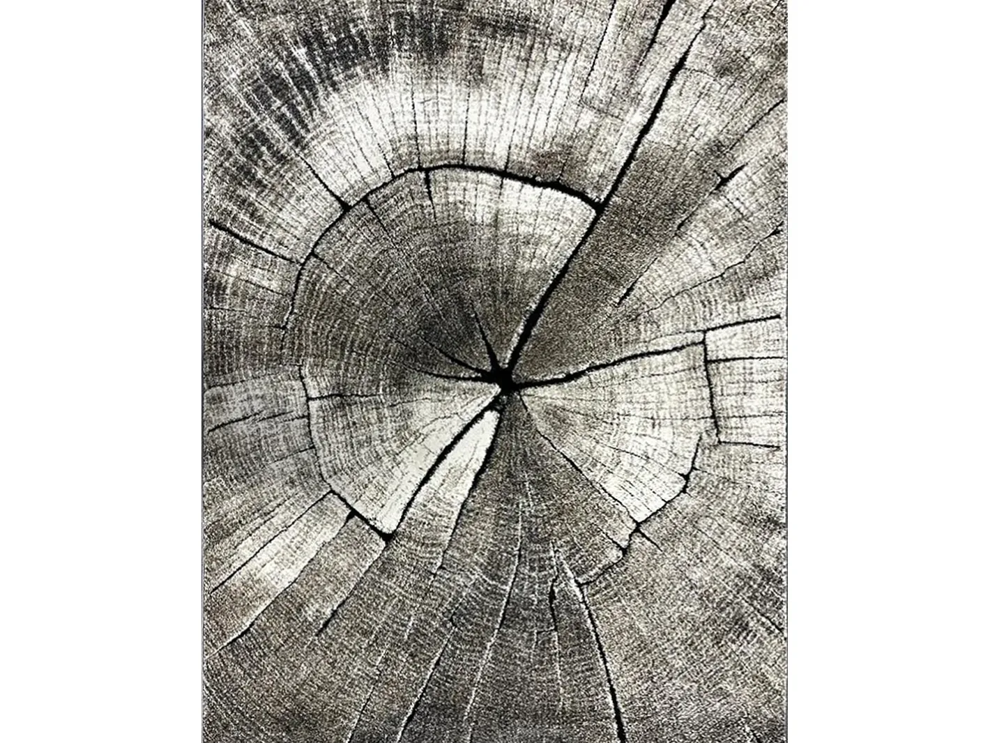 the carpet Alfombra De Salón-Alfombra Marla Diseño Moderno Árbol, Natural, 200x290 cm Color natural oscuro