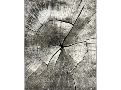 the carpet Alfombra Marla Diseño Moderno Árbol, Natural, 120x170 cm Color natural oscuro New