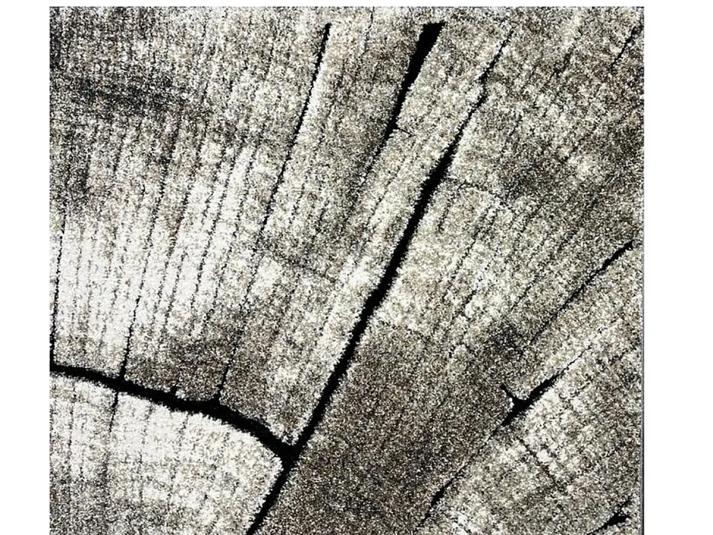 the carpet Alfombra Marla Diseño Moderno Árbol, Natural, 120x170 cm Color natural oscuro New