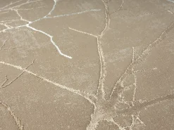 the carpet Alfombra Mila Brillante Naturaleza, , 200 x 290 cm Beige