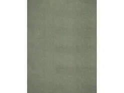 the carpet Alfombra pelo corto lavable antideslizante - Bosque - 120 x 160 cm - RELAX Verde
