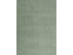 the carpet Alfombra De Salón-Alfombra pelo corto lavable antideslizante - Verde - 140 x 200 cm - RELAX Verde claro