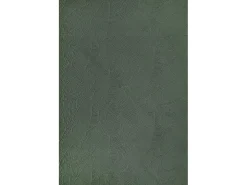 the carpet Alfombra De Salón-Alfombra Rio ala estar antideslizante hojas, Bosque, 200 x 280 cm Verde esmeralda
