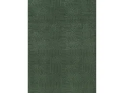 the carpet Alfombra De Salón-Alfombra Rio ala estar antideslizante arco, Bosque, 80 x 150 cm Verde esmeralda