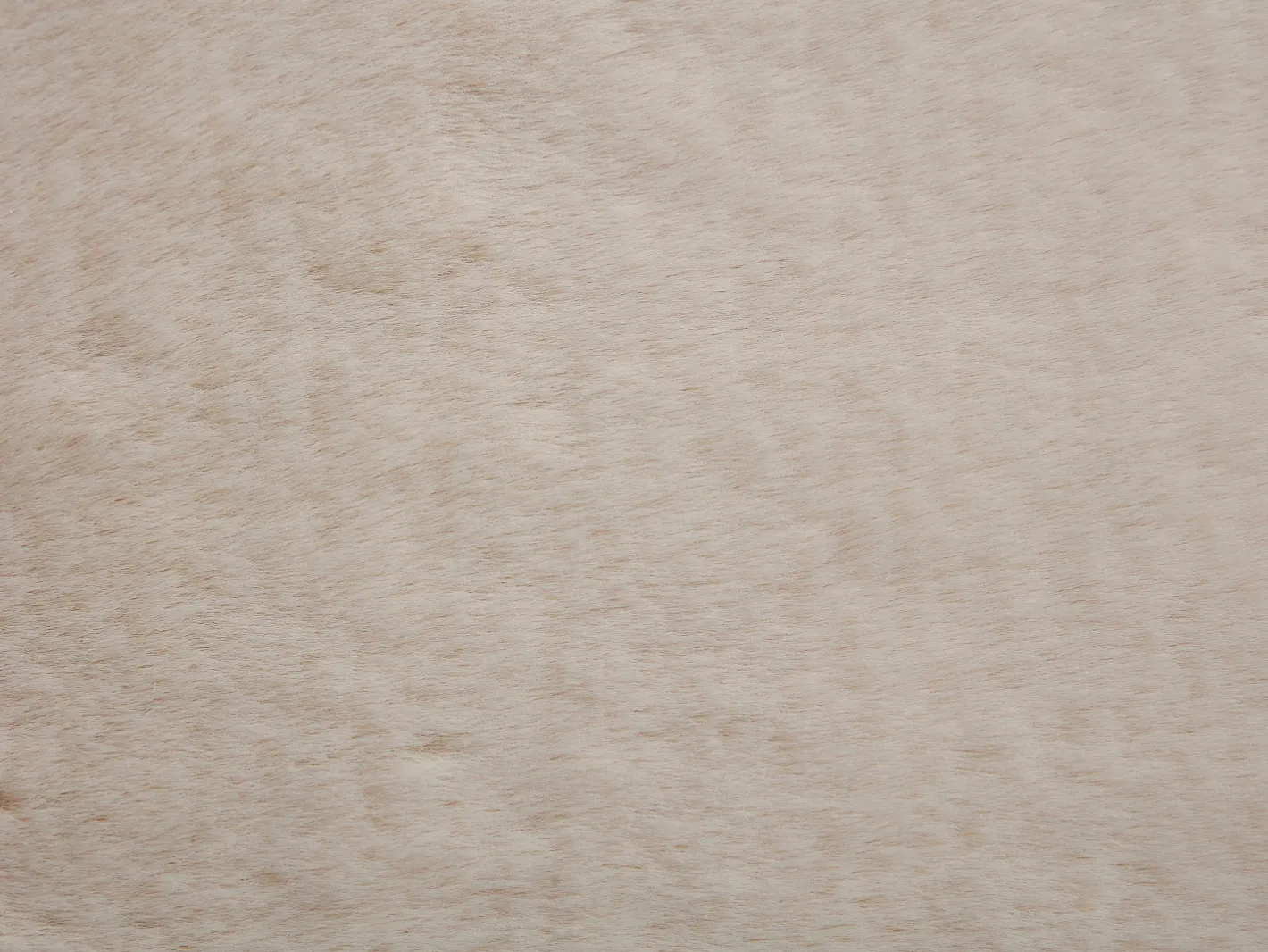 OZAIA Alfombra De Salón-Alfombra shaggy de pelo largo efecto pelo, 200 x 290 cm, , BUNNY Beige