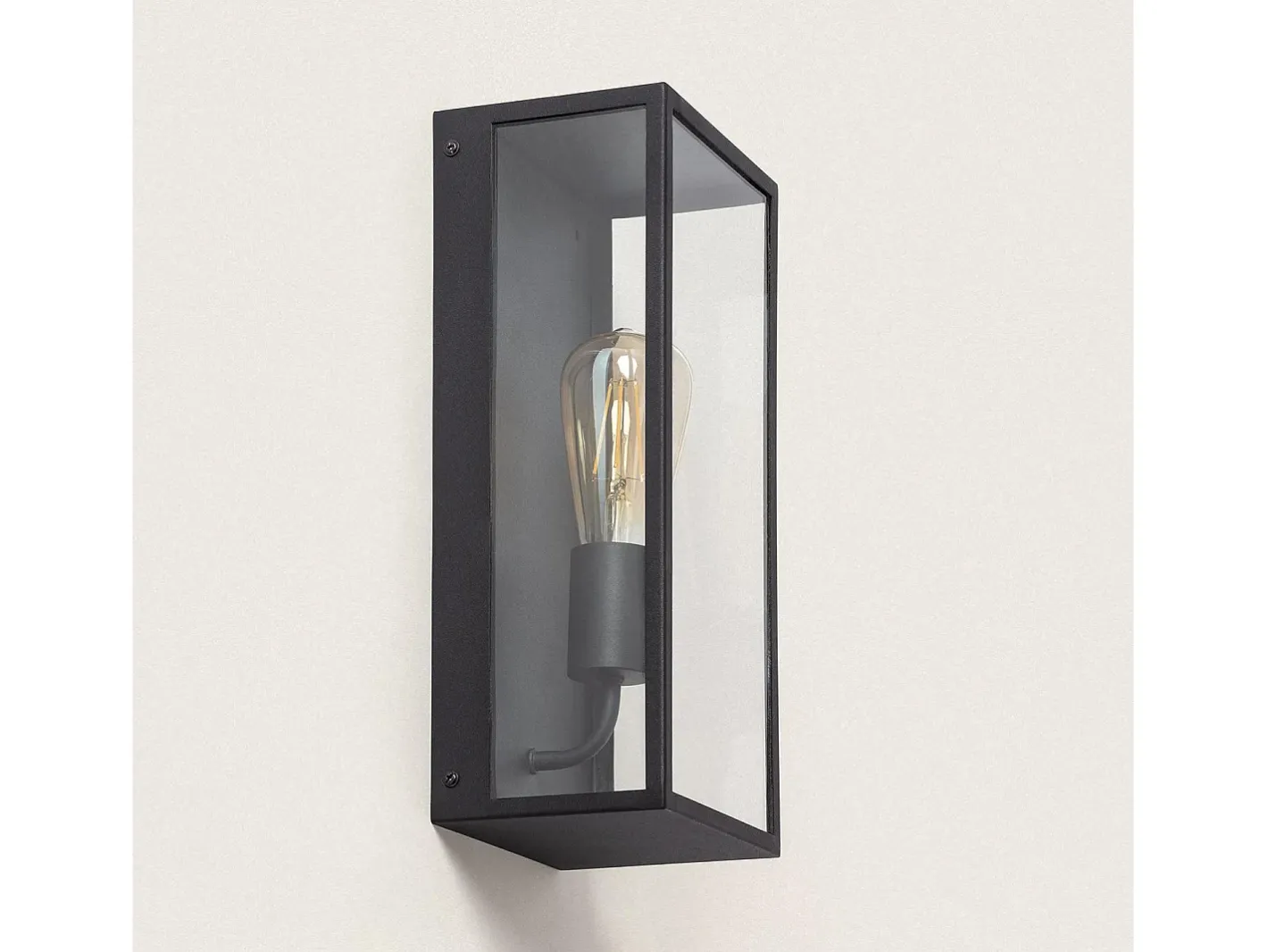 Ledkia Aplique de Pared Exterior Metal y Cristal Zeila Negro