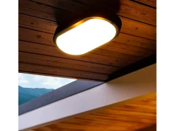 Online Ledkia Aplique LED 25W Oval IP65 Black 3000K Cálido Blanco