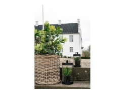House Nordic Planta Artificial-Arbol de skimmia artificial 75 cm Verde