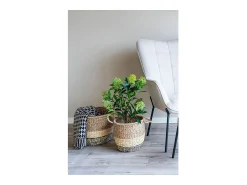 House Nordic Planta Artificial-Arbol de skimmia artificial 75 cm Verde
