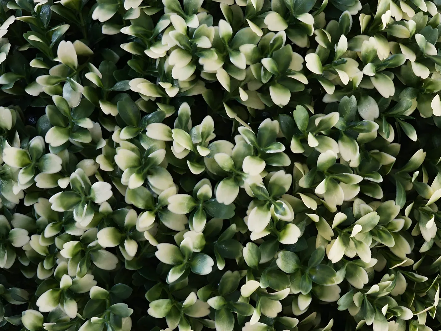 MCW Planta Artificial-Arbusto artificial -L77, Blanco
