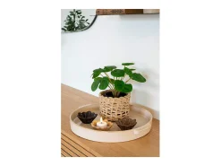 ebuy24 Jarrón-Bandeja de cerámica blanca Ø 37 cm Blanco
