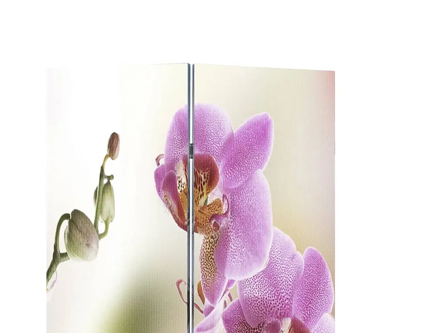 Biombo divisor plegable flores 120x170 cm ES694058 Multicolor