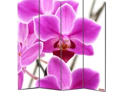 MCW Biombo-Biombo fotográfico Bagheria, 180 x 160 cm, orquídea Multicolor