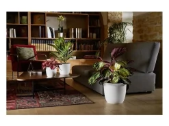 Cache-pot Opale marfil Ø 29,5 cm diseño facetado sin pies para macetas Blanco Discount