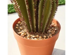 Planta Artificial-Cactus artificial euphorbia suzannae 90 cm nortene 90 CM Verde
