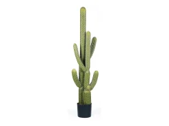 Online NORTENE Cactus artificial saguaro 145 cm 145 CM Verde