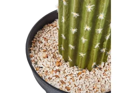 Online NORTENE Cactus artificial saguaro 145 cm 145 CM Verde