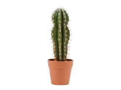 Planta Artificial-Cactus artificial stetsonia coryne 64 cm 64 Verde