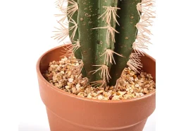 Sale NORTENE Cactus artificial stetsonia coryne 43 cm 43 CM Verde