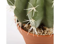 Sale NORTENE Cactus artificial stetsonia coryne 43 cm 43 CM Verde