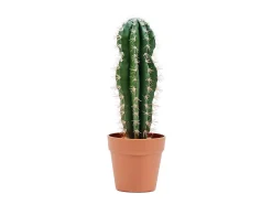 Sale NORTENE Cactus artificial stetsonia coryne 43 cm 43 CM Verde