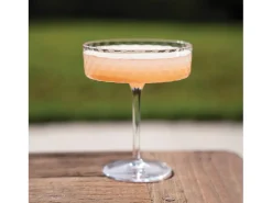 Coppa - Juego de 4 copas de cóctel y vino aromático de 25 cl, diseño elegante - Zafferano, fabricadas en Italia Transparente