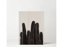 Best DECOWOOD Cuadro de madera Cactus Multicolor