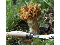 New Opinel Cuchillo para setas - 8 cm Marru00f3n