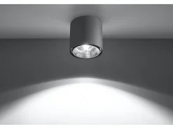 Sollux Lighting Downlight a plafone Round Flush Grigio chiaro GU10 Focos empotrables de superficie Redondos Empotrado Claro GU10 Gris Best