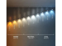 Ledkia Downlight LED 8W Circular CCT Seleccionable Regulable Baño IP65 Corte Ø 70 mm Seleccionable (Cálido-Neutro-Frío) Blanco