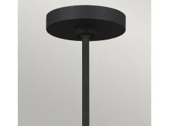 Lámpara Suspendida-Elstead Jax 10 ljus ljuskrona, midnattssvart, G9 Negro