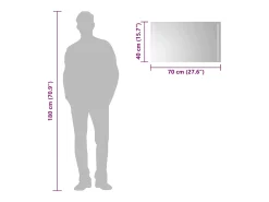 Espejo de baño LED 70x40 cm Transparente Discount