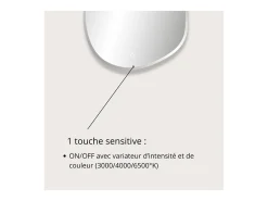 Clearance Espejo LED orgánico D60/80cm en vidrio FLUEA Plateado