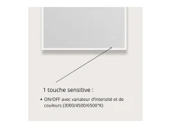 Espejo-Espejo LED rectangular L60/80cm de vidrio ECLIPS Plateado