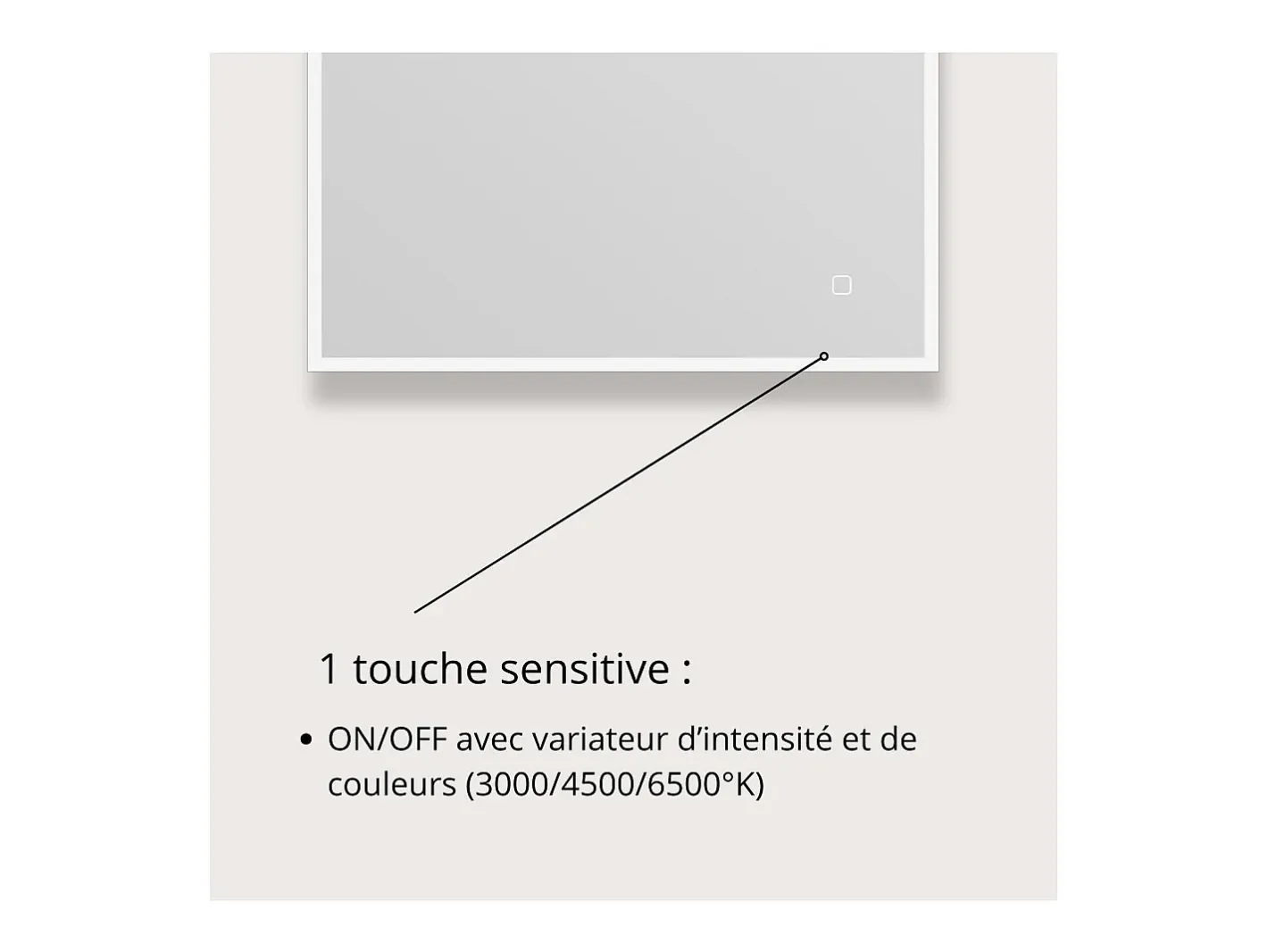 Espejo-Espejo LED rectangular L60/80cm de vidrio ECLIPS Plateado