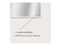 Espejo-Espejo LED rectangular L60/80/90/120cm con retroiluminación MIRALUX Plateado