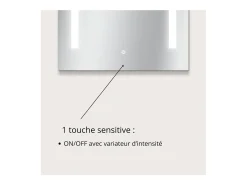 Espejo LED rectangular L60/80cm de vidrio LUMENA Plateado