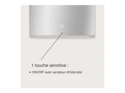 Espejo LED rectangular L60/80cm de vidrio NOVA LUX Plateado