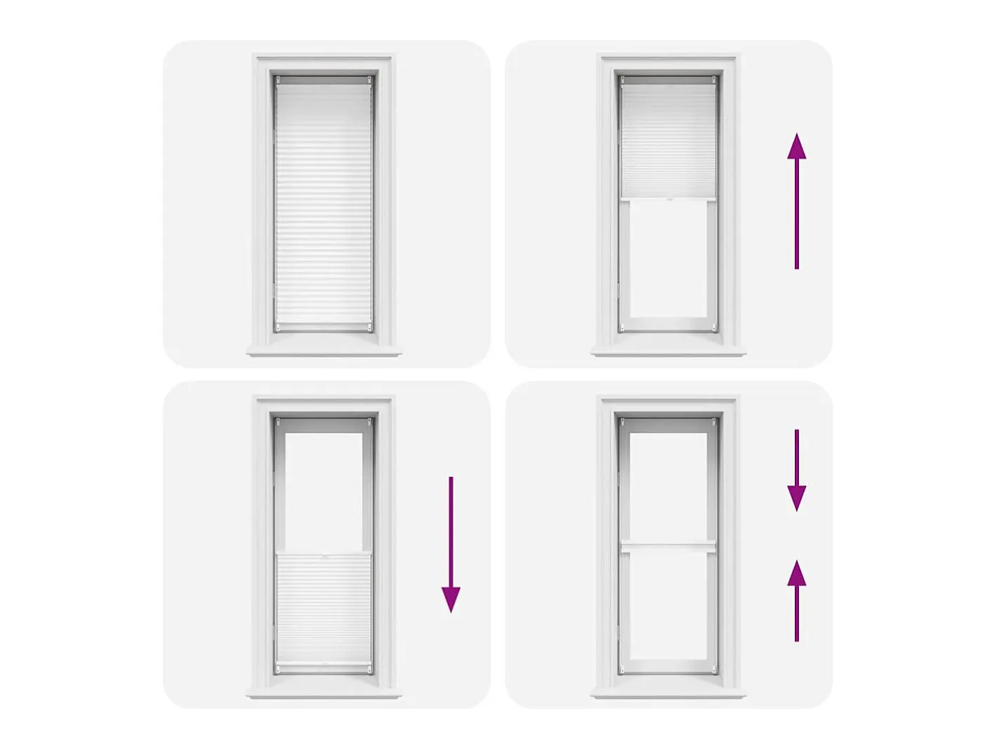Estor plisado 50x150 cm Blanco Best