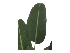 Sale J-Line Estrelitzia artificial de plástico de 189 cm de altura. Verde