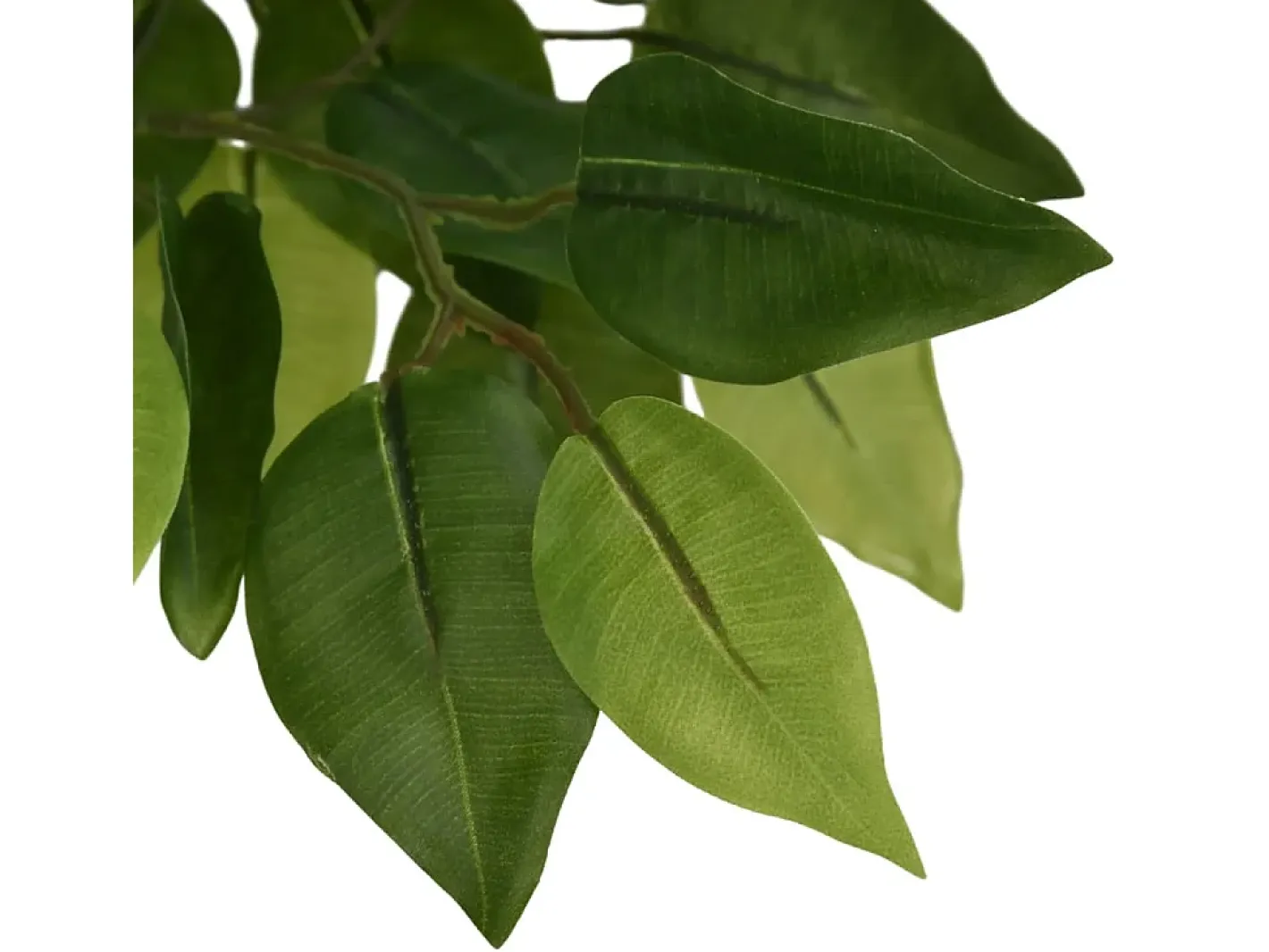 Online Ficus artificial con 378 hojas 80 cm ES267090 Verde
